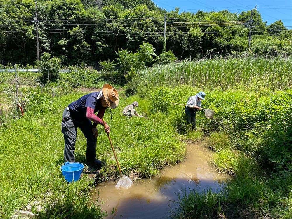 特定非営利活動法人犬山里山学研究所