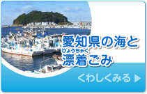 愛知県の海と漂着ごみ